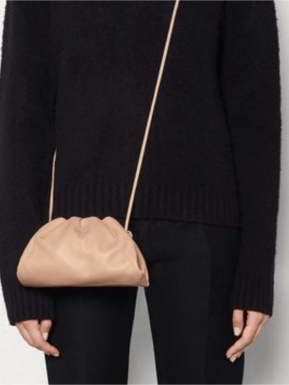 Bottega Veneta The Pouch bag with original dust bag